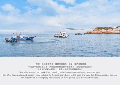 寧波得邦設(shè)計 一站式品牌全案策劃與設(shè)計的專業(yè)伙伴